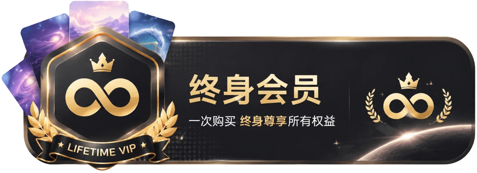 终身会员