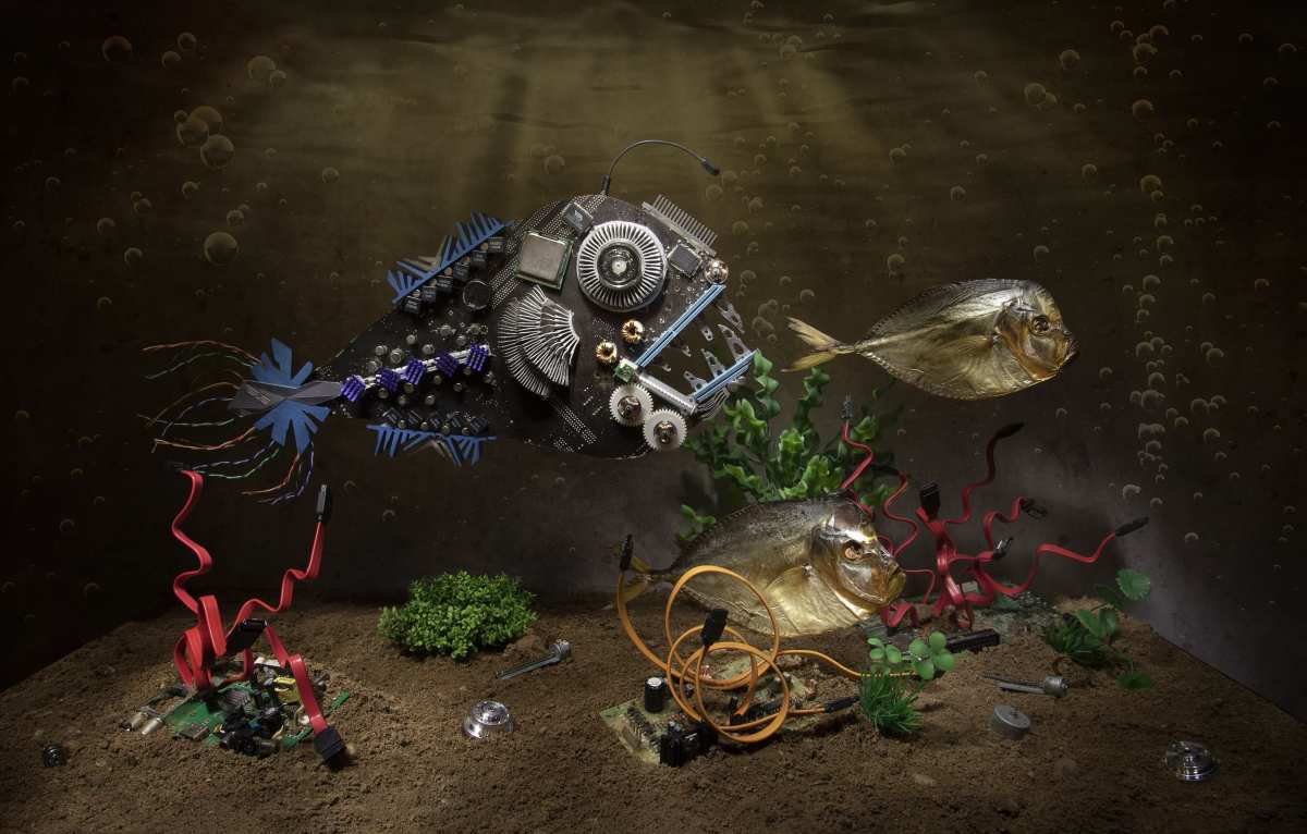 机械鱼与海洋生物