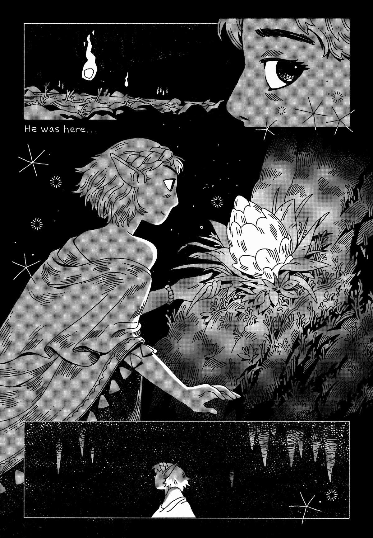 夜空下的精灵