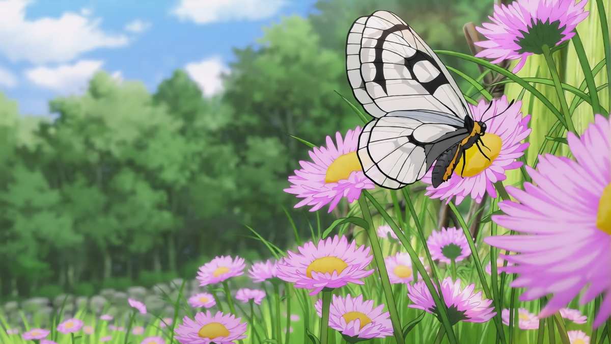蝶舞花间