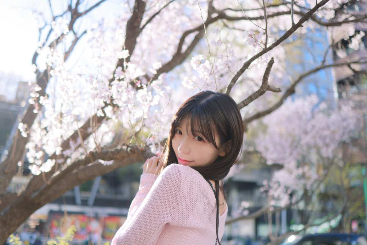 樱花下的温柔时光