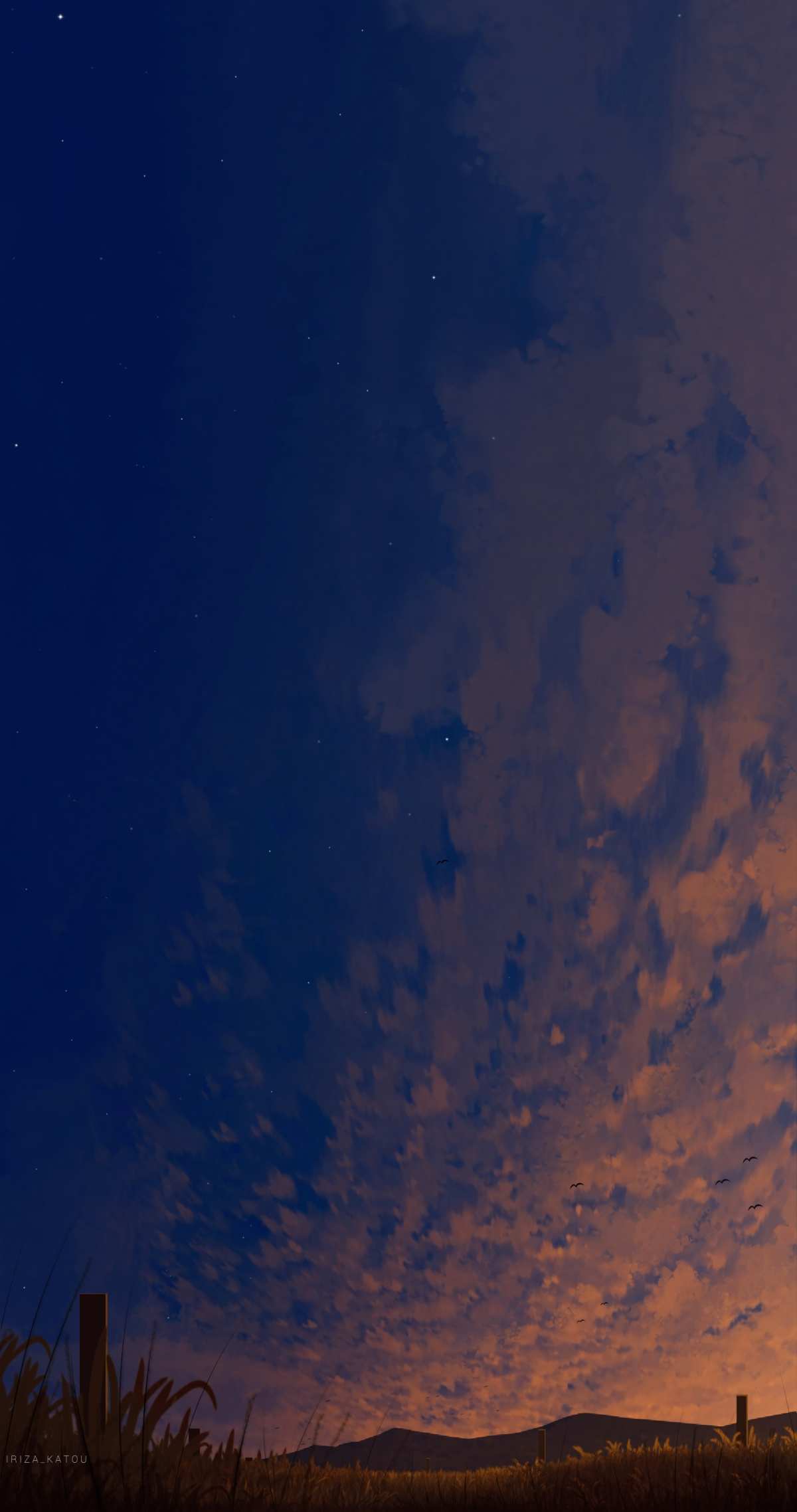 夜空下的宁静田野