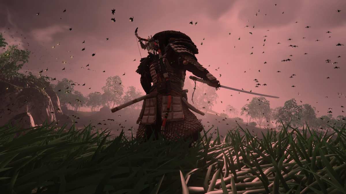 武士与飞鸟