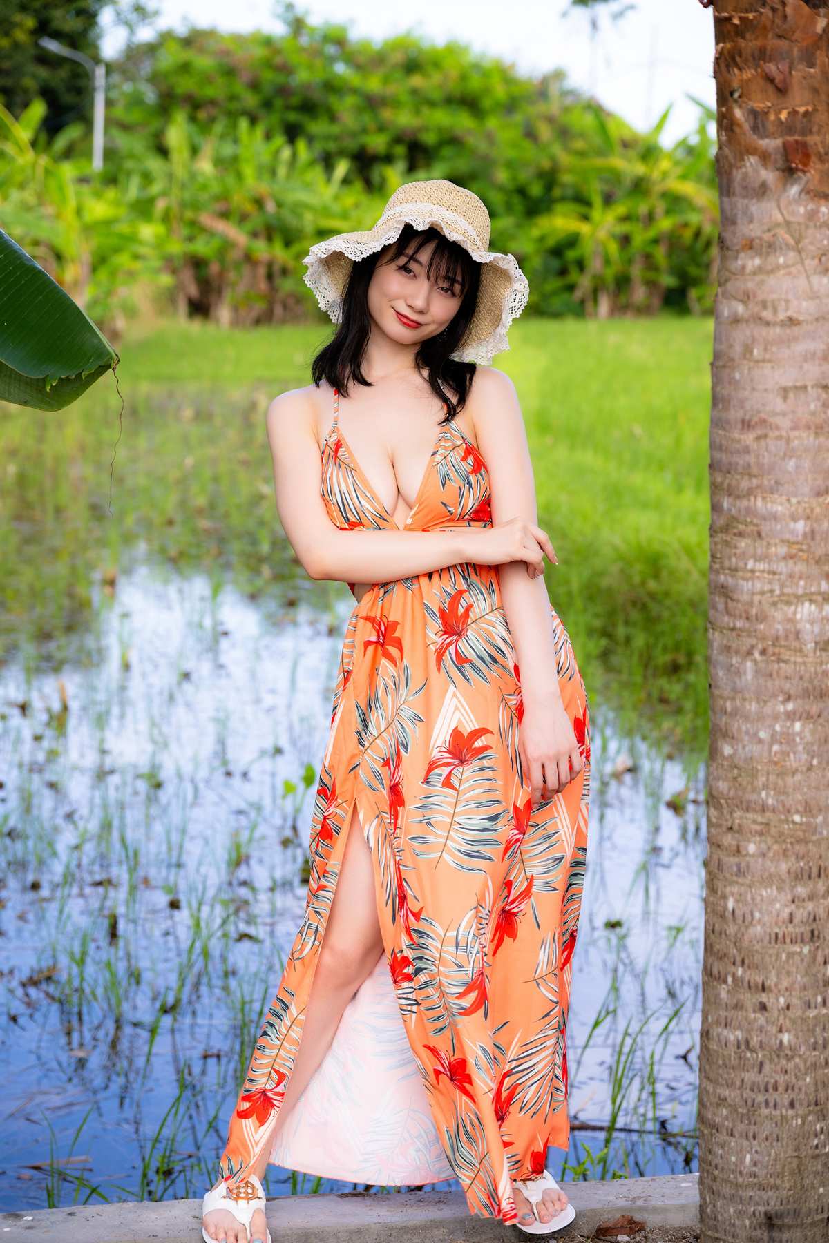 夏日风情