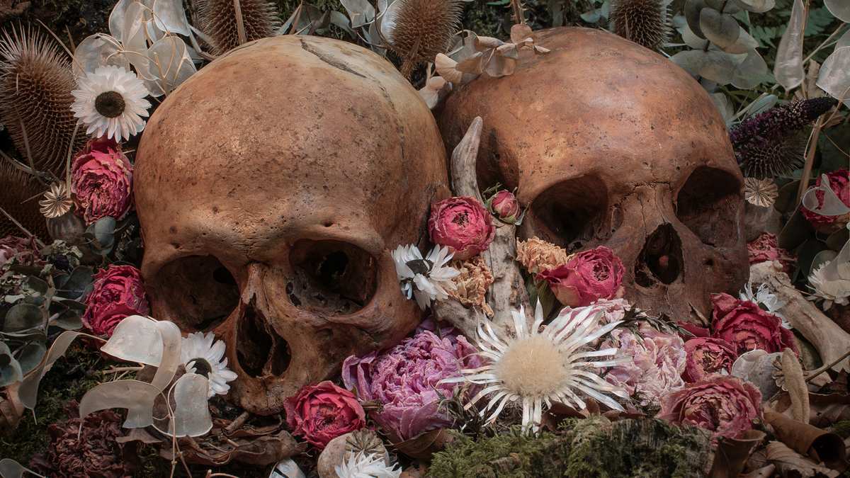 骷髅与花束