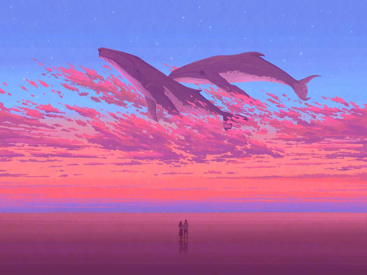 鲸鱼与星辰