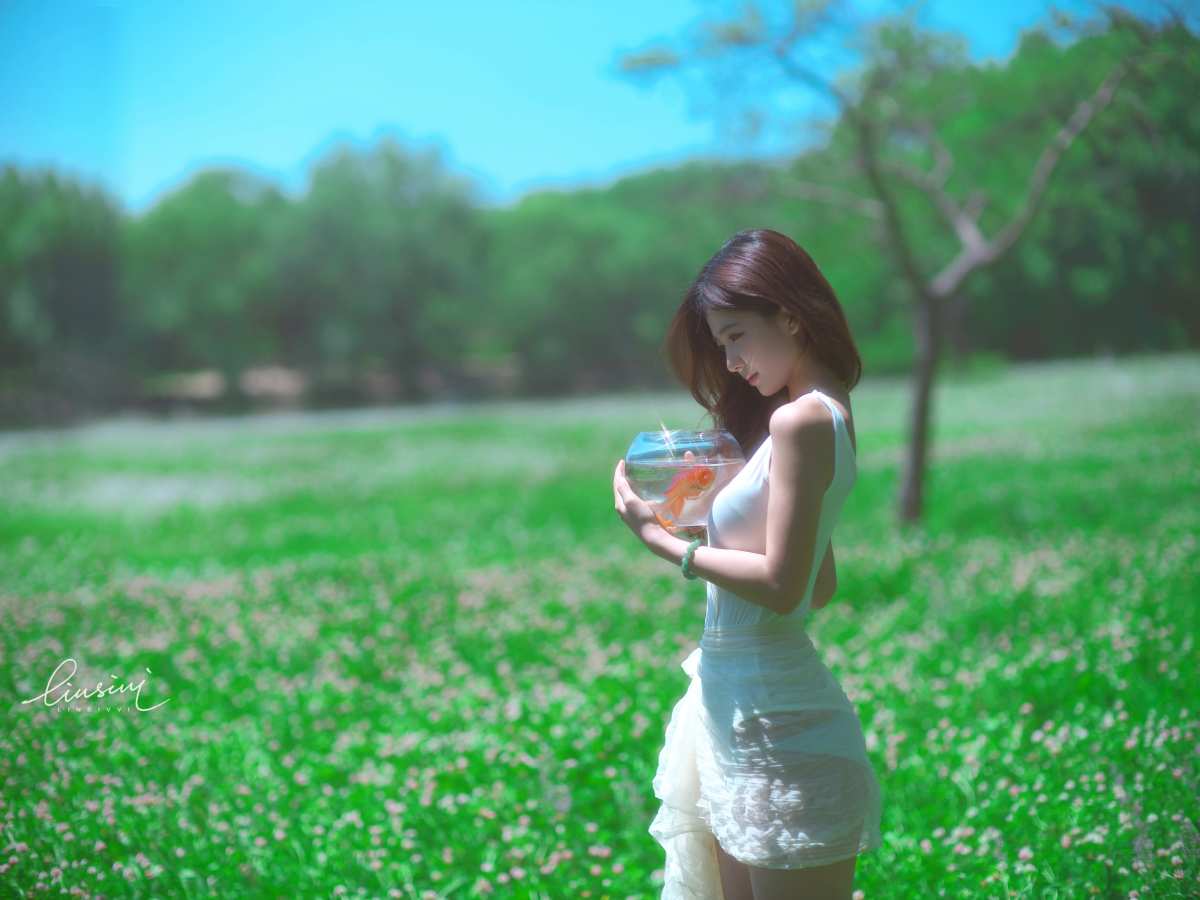 金鱼与田野