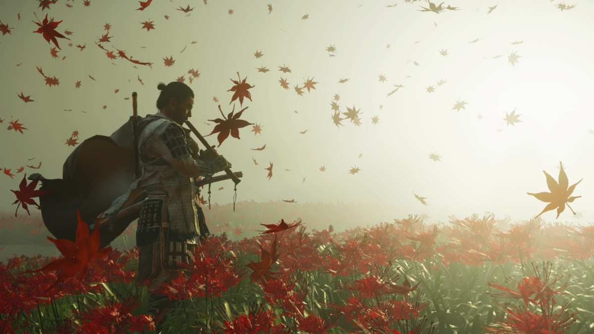 武士与枫叶