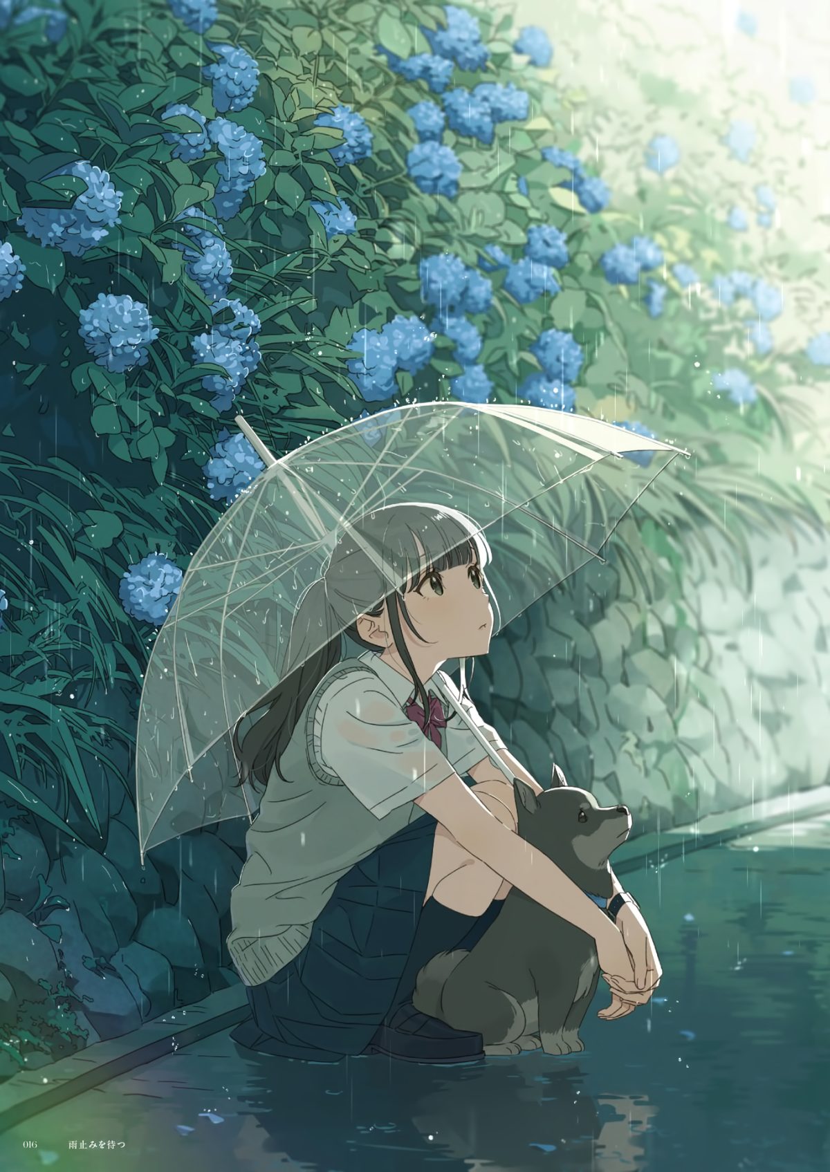 雨中少女与狗