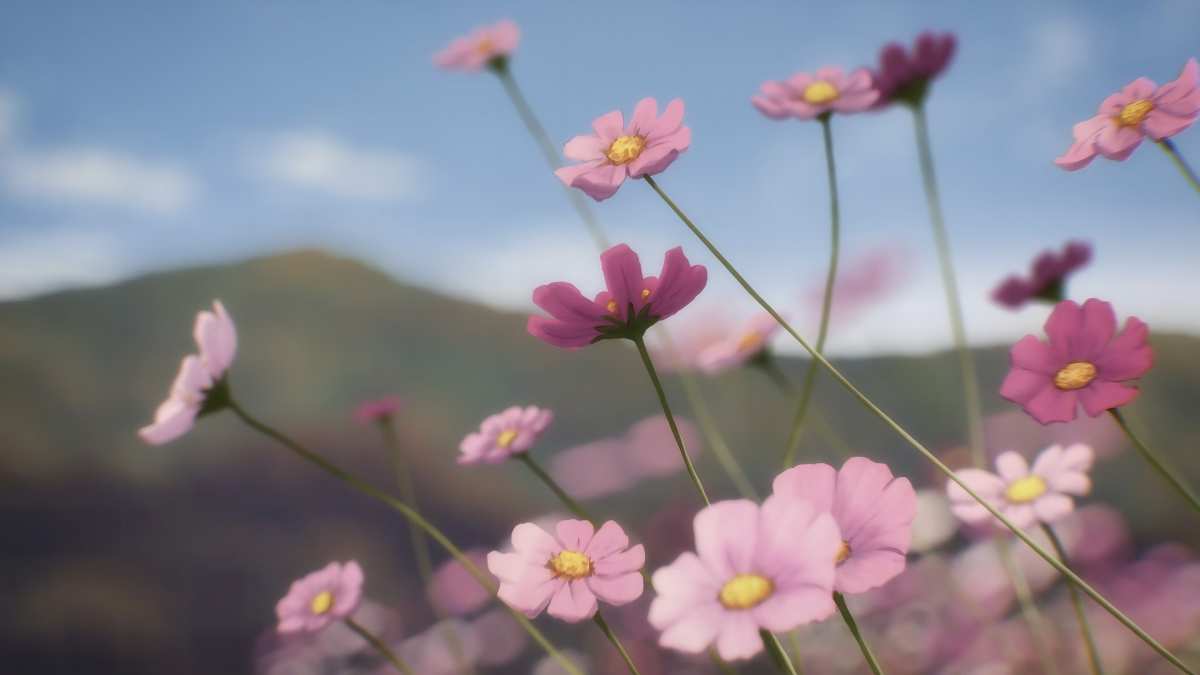 粉色花海