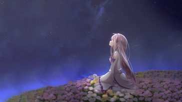 星空花田动态壁纸