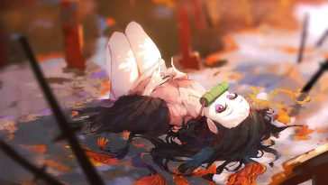 木梅之夜动态壁纸