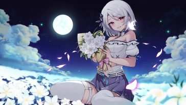 动漫少女花田月色动态壁纸