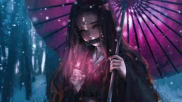 雨伞蝴蝶木梅屋动态壁纸