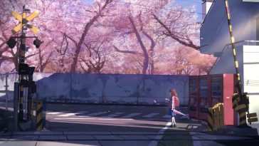 樱花路动态壁纸 – 每秒5厘米