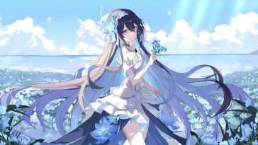 高清动态壁纸：星?花田美景