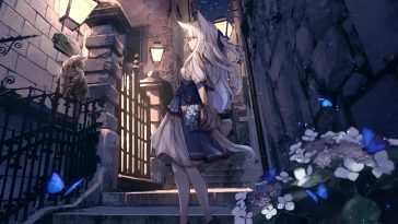 夜色花蝶动态壁纸