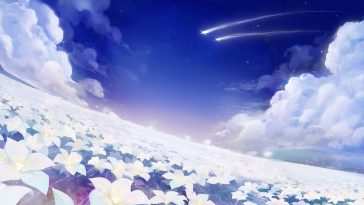 花海星空动态壁纸