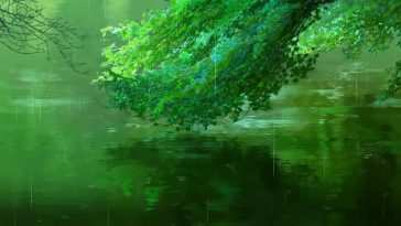 自然风景·动态壁纸：雨中花园的宁静之美