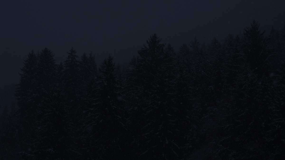 暗夜森林