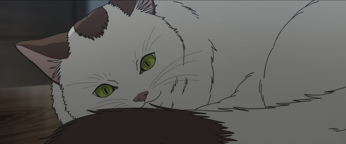 猫咪静物壁纸