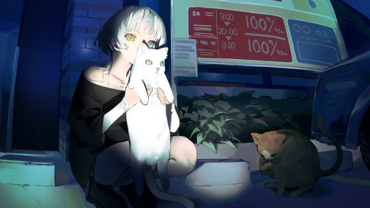 猫与少女的夜晚