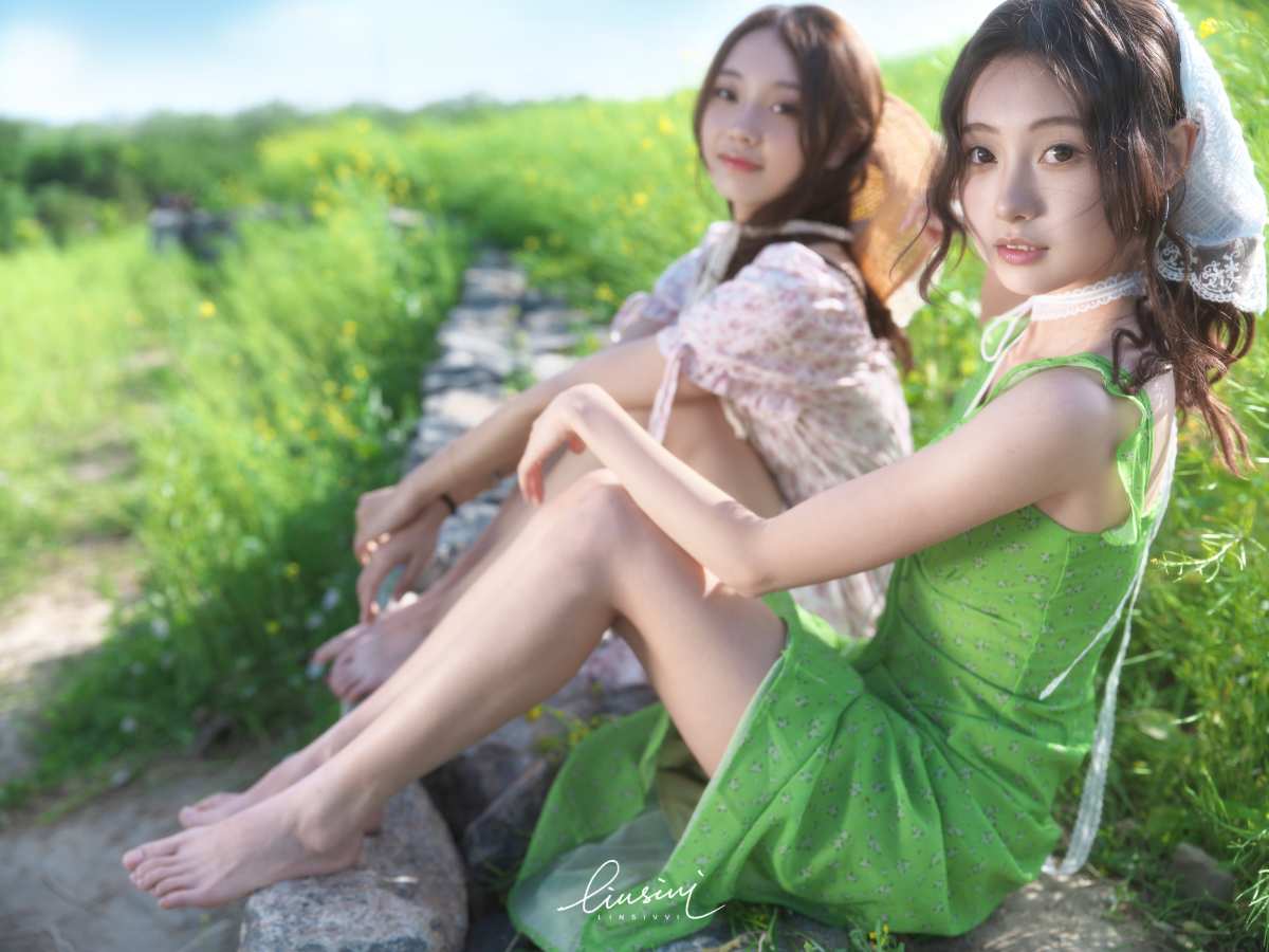 绿野仙踪