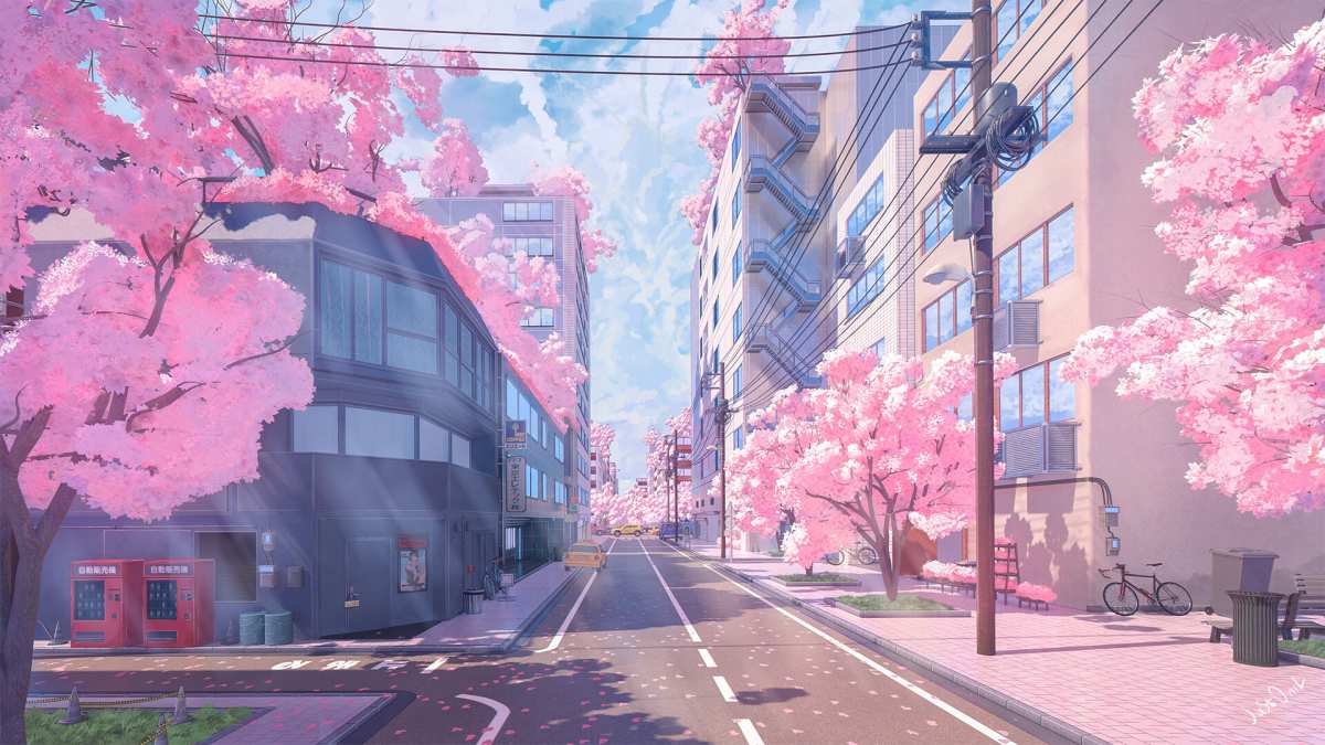 樱花街道