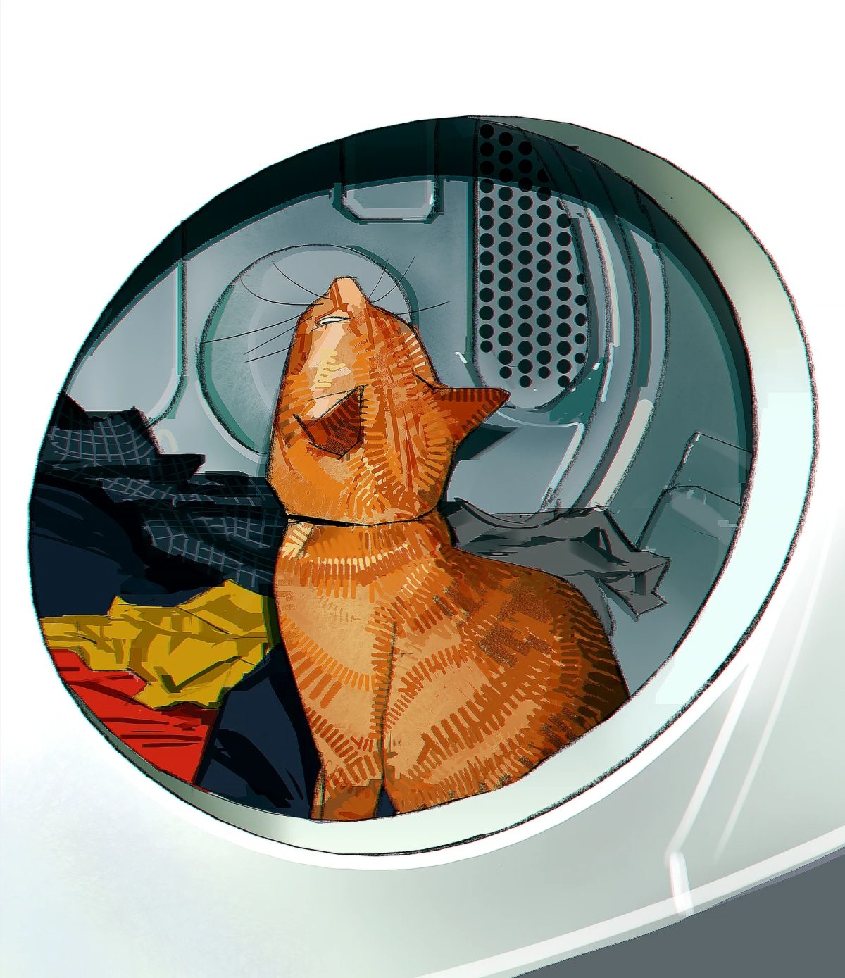 猫在洗衣机里