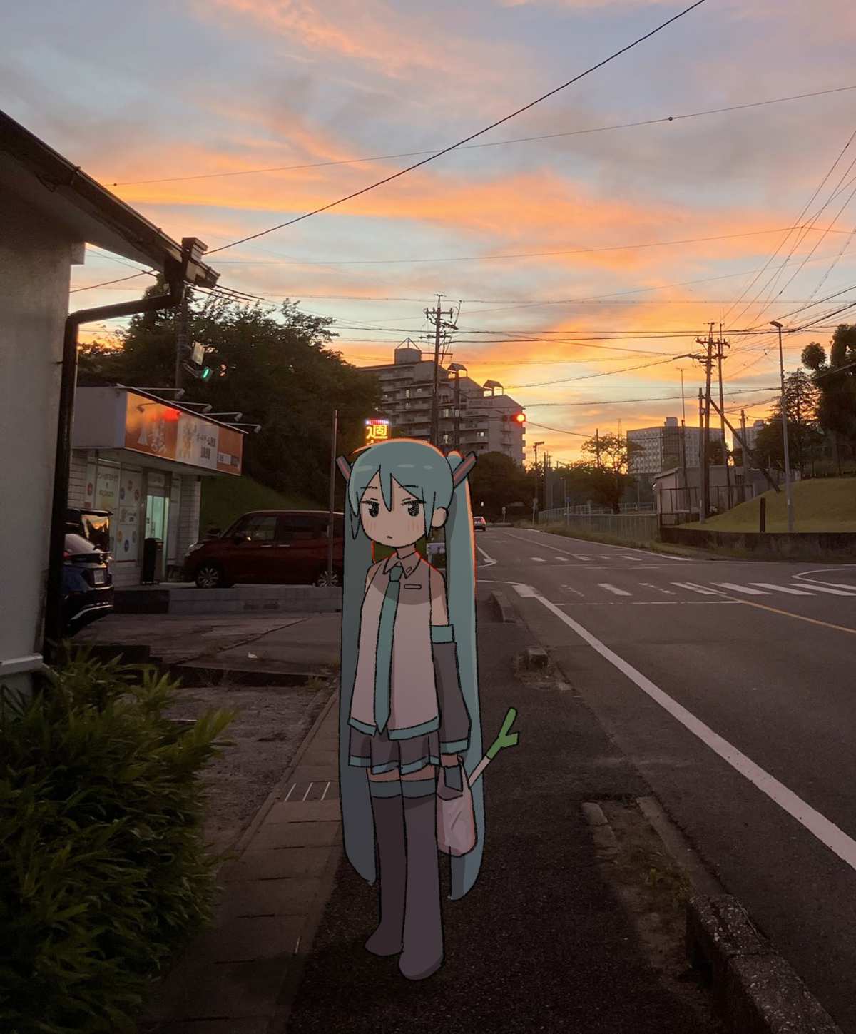 日落下的动漫女孩