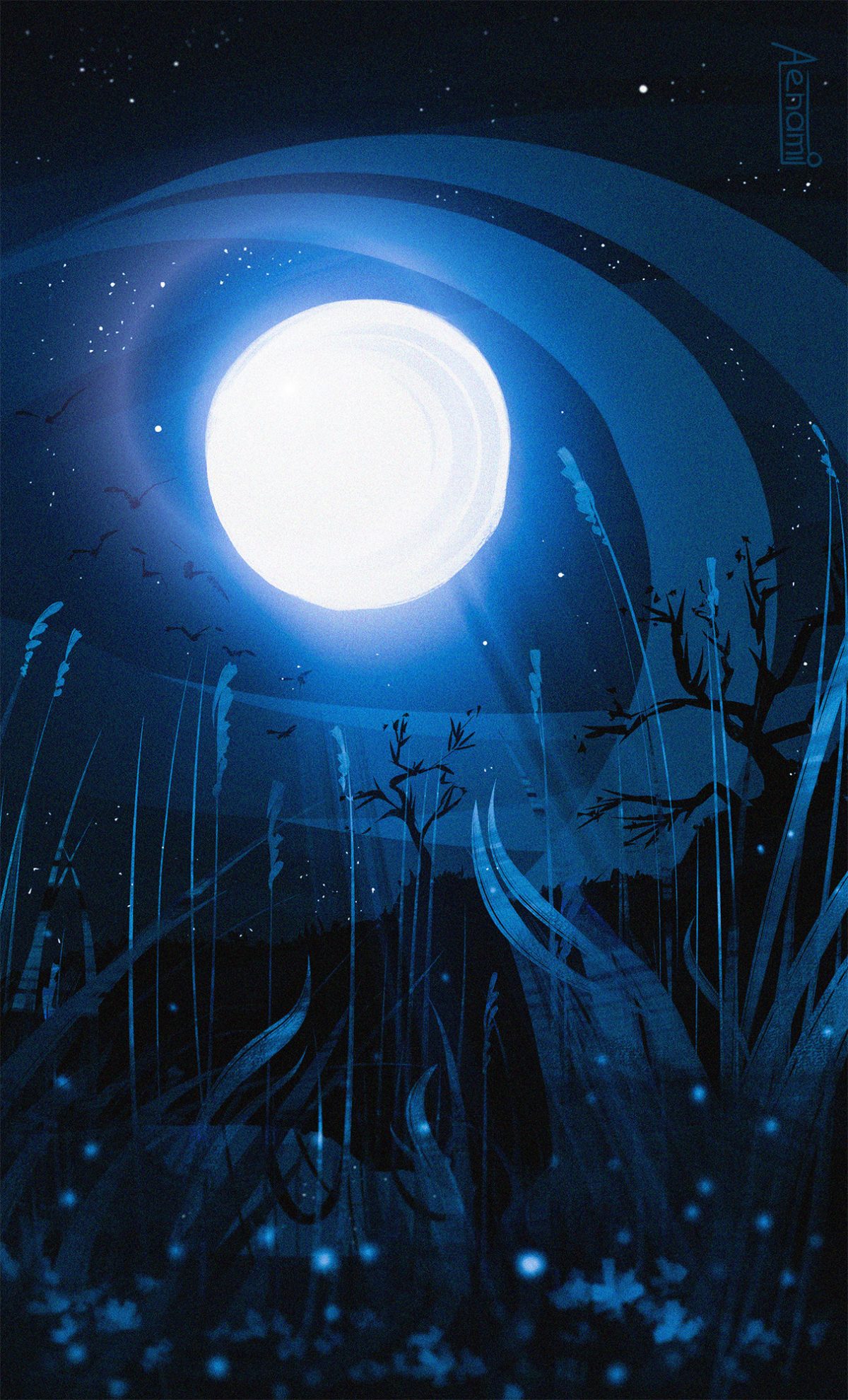 星夜下的宁静草地