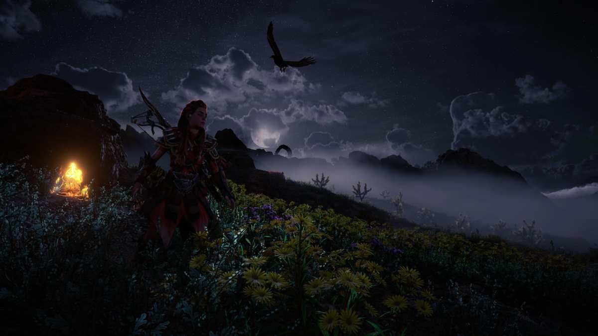 地平线禁忌西部 · 地平线：零黎明 · 阿洛伊（高清壁纸